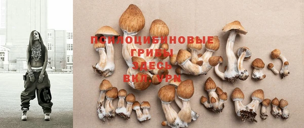прущие грибы Карталы