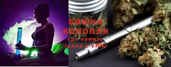 ПСИЛОЦИБИНОВЫЕ ГРИБЫ Балабаново